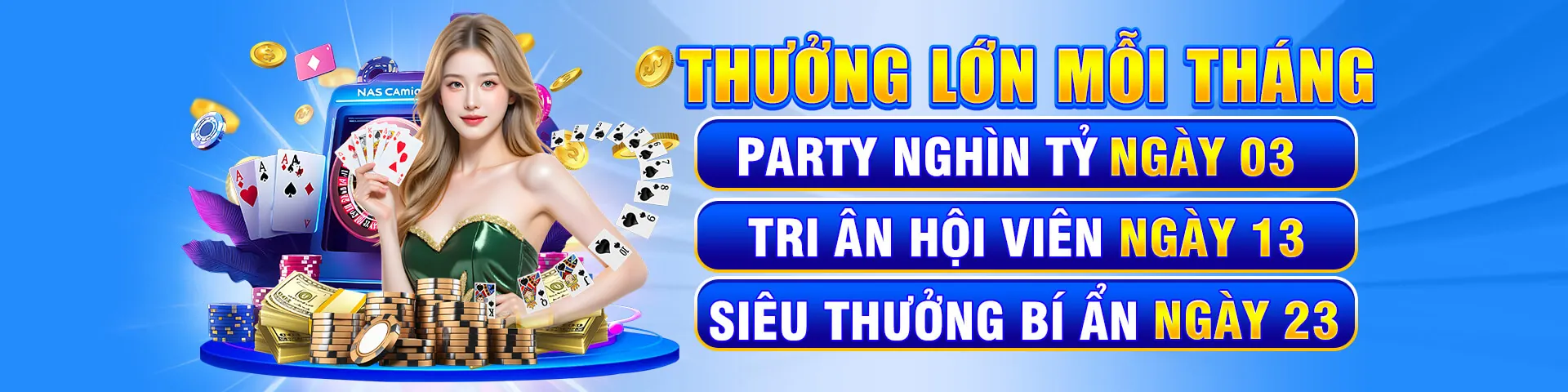 Hình ảnh khuyến mãi dành cho thành viên VIP