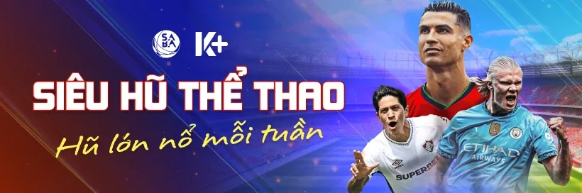 Tại sao 33wim là lựa chọn hàng đầu của bạn